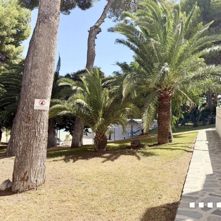 VH Costa Blanca - Sunny Pines - Apartamento de 3 dormitorios - 21