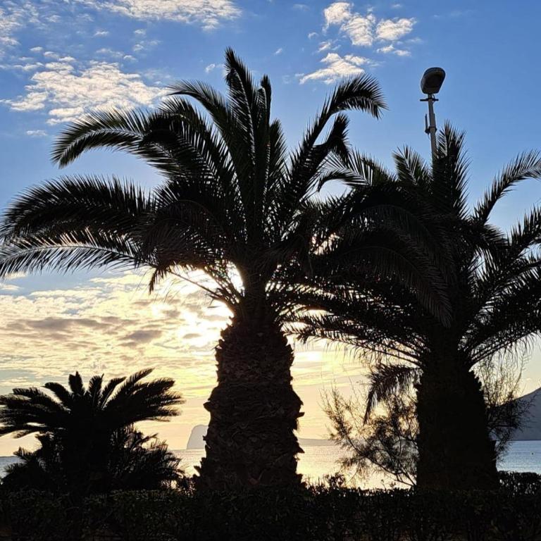 VH Costa Blanca - Sunny Pines - Apartamento de 3 dormitorios - 26