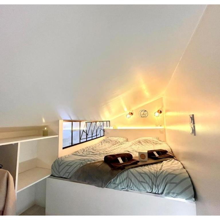 Le Prestige-Clim-centre ville - Appartement 1 Chambre - 3