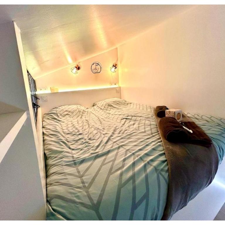 Le Prestige-Clim-centre ville - Appartement 1 Chambre - 4