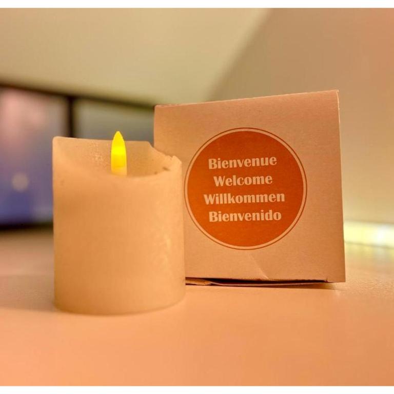 Le Prestige-Clim-centre ville - Appartement 1 Chambre - 12