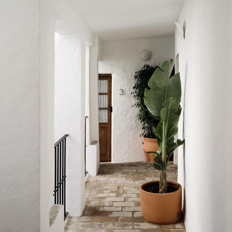 Casablanca Vejer Casa Rural - Suite Executive - 2