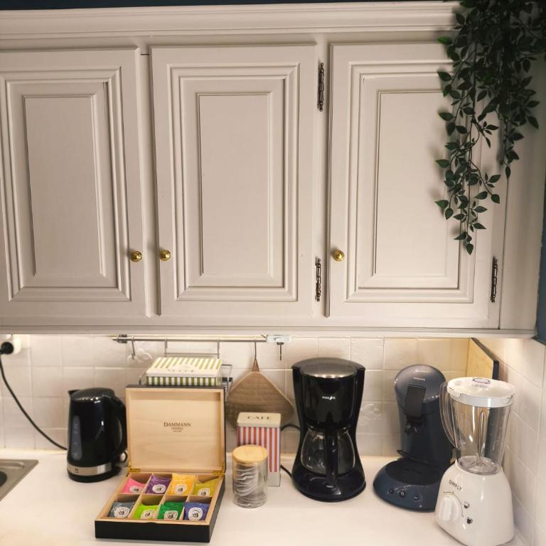 Dijon apartment 3 bedrooms private parking - Apartamento - 9