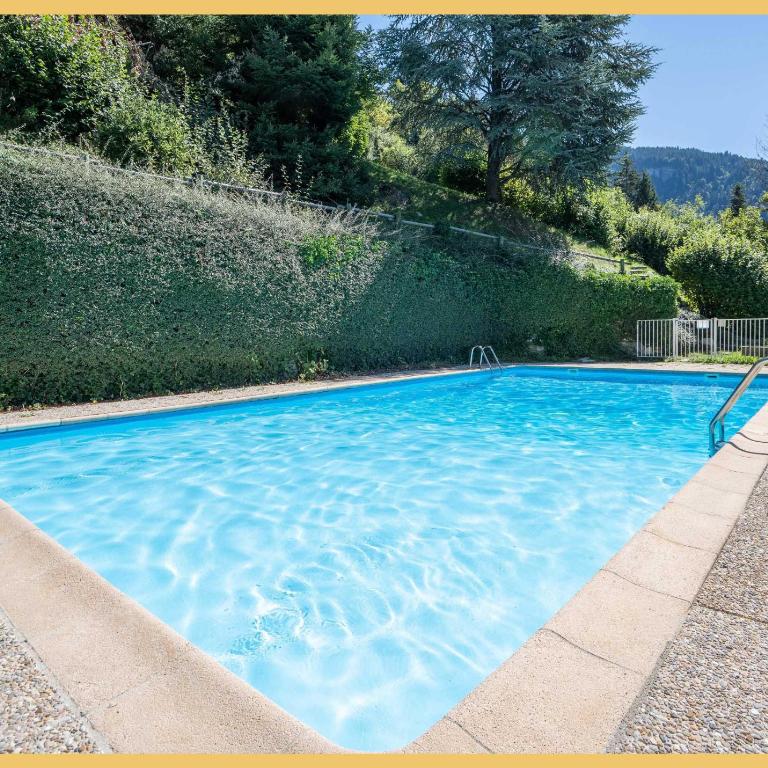 Le Belvedere Alpin I T3 I Morzine - Appartement - 5