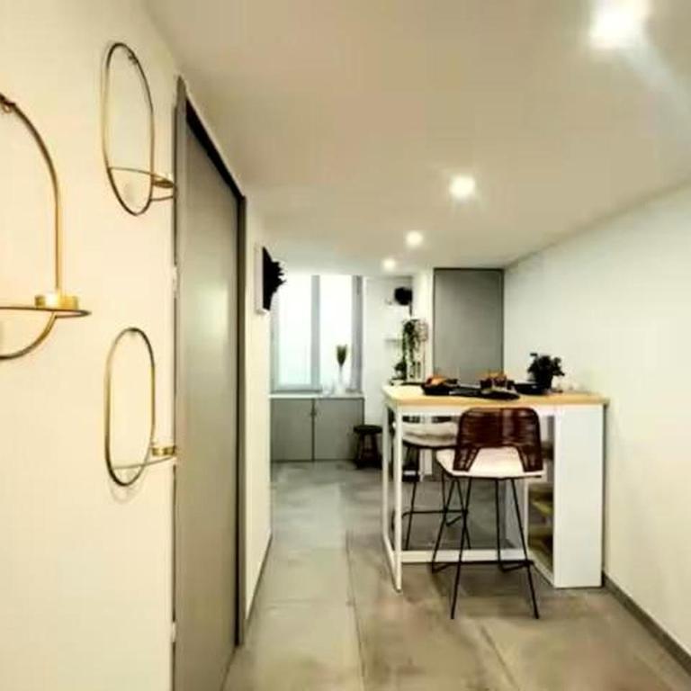 La Loge - clim - coeur de ville - Appartement 1 Chambre - 12