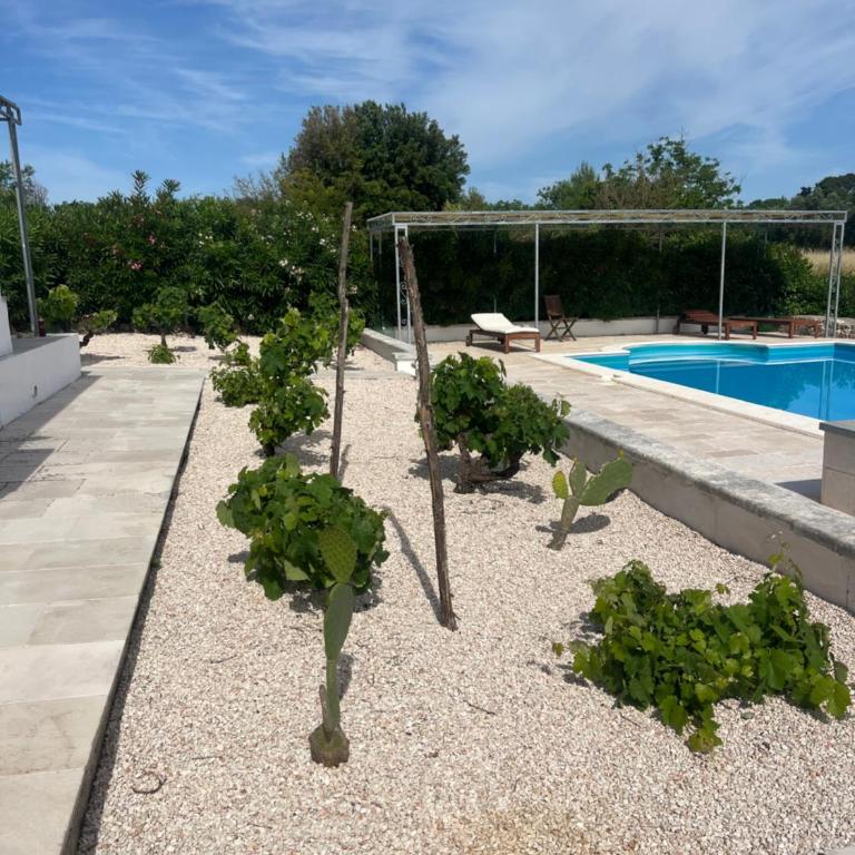 Villa Giulia - Villa mit 3 Schlafzimmern - 24