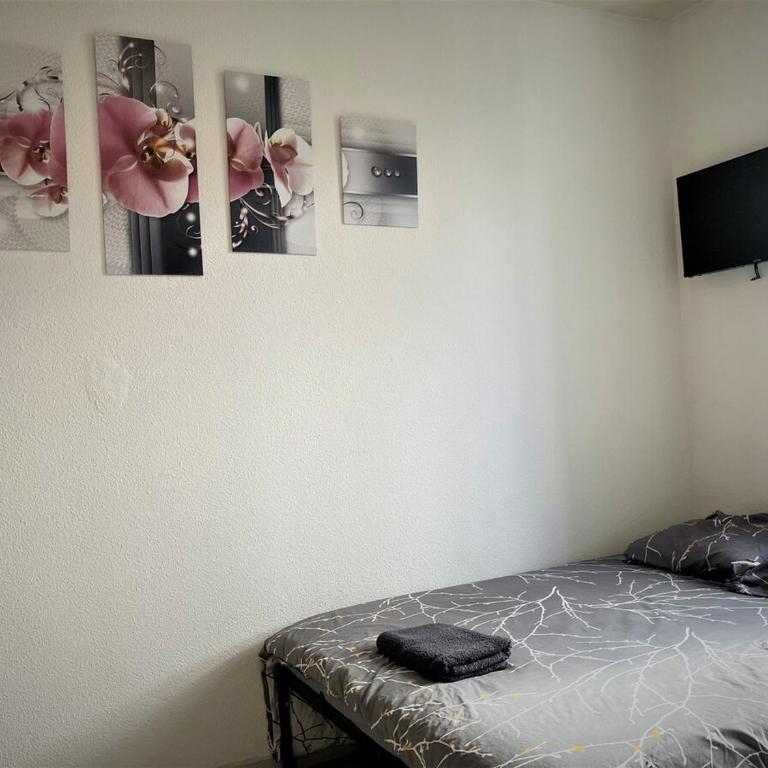 Appartement triple dans le centre de Limoges - Appartement 1 Chambre - 12