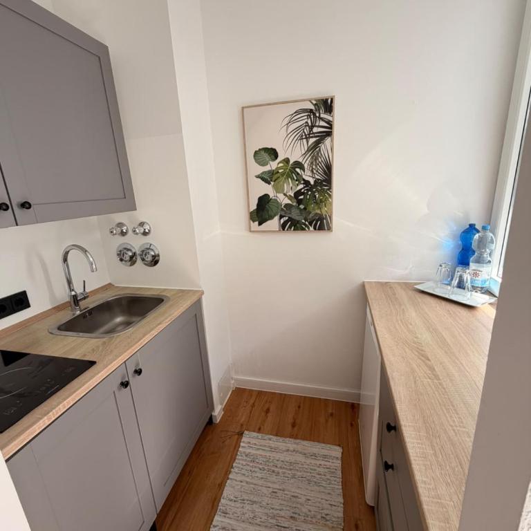 Munich Oktoberfest Apartment - Apartamento de 1 dormitorio - 3