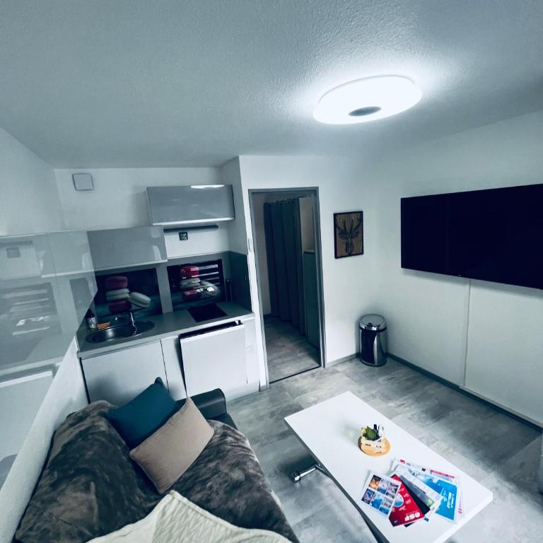 Balcon Sud, appartement au centre de La Foux avec parking privé - Appartamento con 1 Camera da Letto, Balcone e Vista Montagna - 15