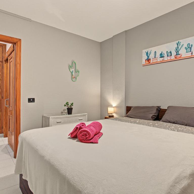 Casa Cactus Tenerife - Superior Apartment mit 1 Schlafzimmer und Balkon - 11