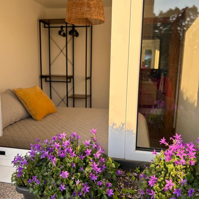 Coqueto apartamento en O Grove con jardín y parking - Apartamento de 1 dormitorio - 15