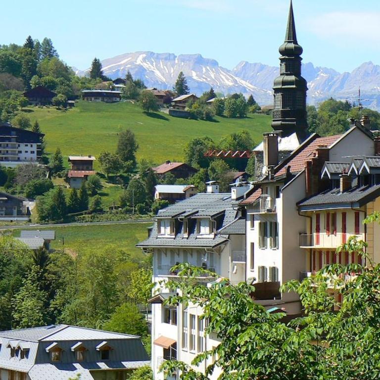 2 pièces cosy Saint Gervais près des pistes vue MontBlanc - Appartement 1 Chambre - 33