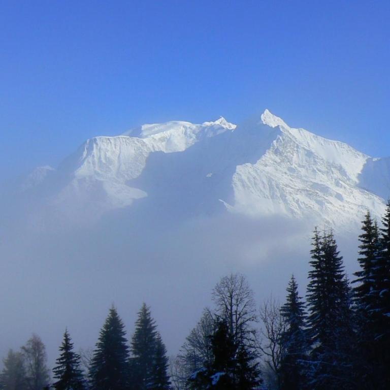 2 pièces cosy Saint Gervais près des pistes vue MontBlanc - Appartement 1 Chambre - 22