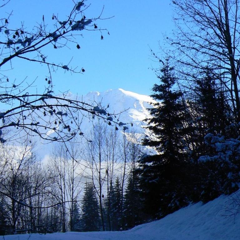 2 pièces cosy Saint Gervais près des pistes vue MontBlanc - Appartement 1 Chambre - 21
