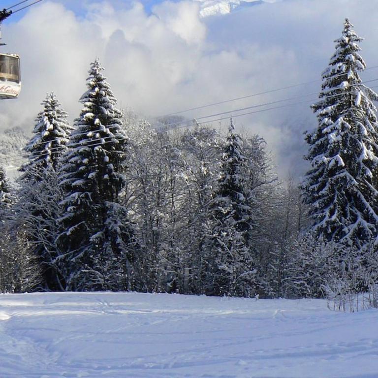 2 pièces cosy Saint Gervais près des pistes vue MontBlanc - Appartement 1 Chambre - 11