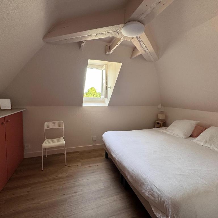 Entre Loire et Toits - Appartement 1 Chambre - 4