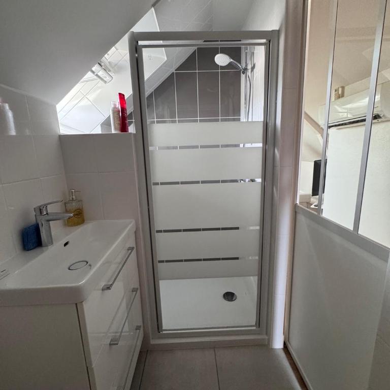 Entre Loire et Toits - Appartement 1 Chambre - 7