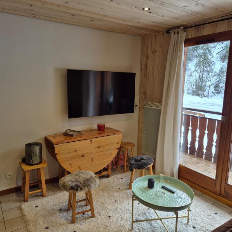 T2 confortable au pied du téléphérique de Nyon avec Wifi et animaux acceptés - Apartment mit 1 Schlafzimmer - 6