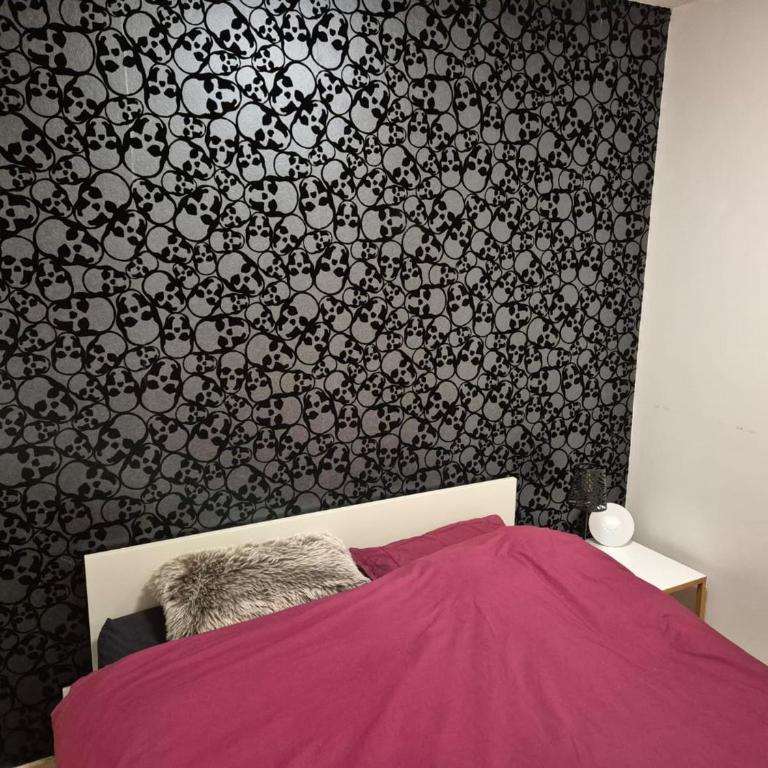 T2 confortable au pied du téléphérique de Nyon avec Wifi et animaux acceptés - Apartment mit 1 Schlafzimmer - 7