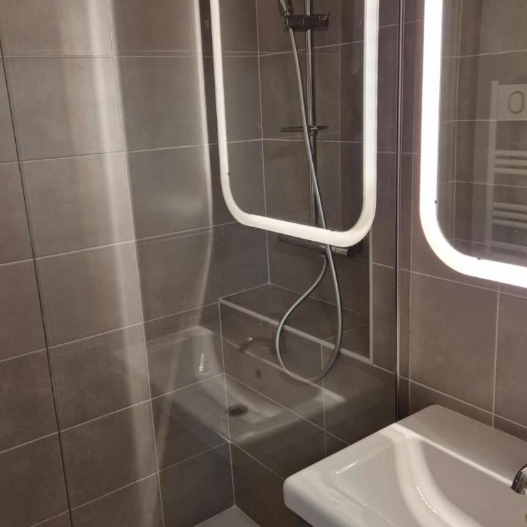 T2 confortable au pied du téléphérique de Nyon avec Wifi et animaux acceptés - Apartment mit 1 Schlafzimmer - 9
