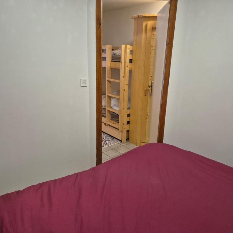 T2 confortable au pied du téléphérique de Nyon avec Wifi et animaux acceptés - Apartment mit 1 Schlafzimmer - 11