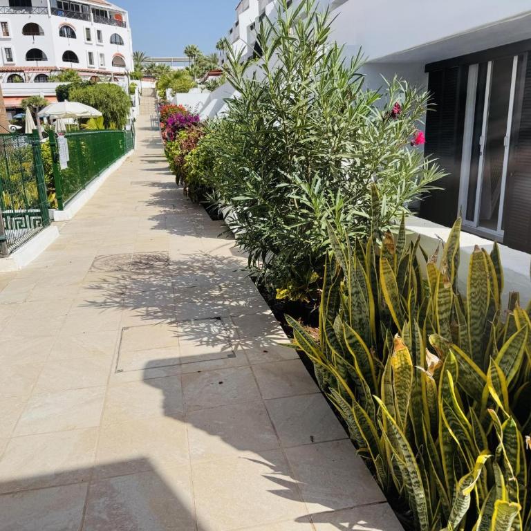 Americas Holiday Home - Appartamento con 1 Camera da Letto - Piano Terra - 37
