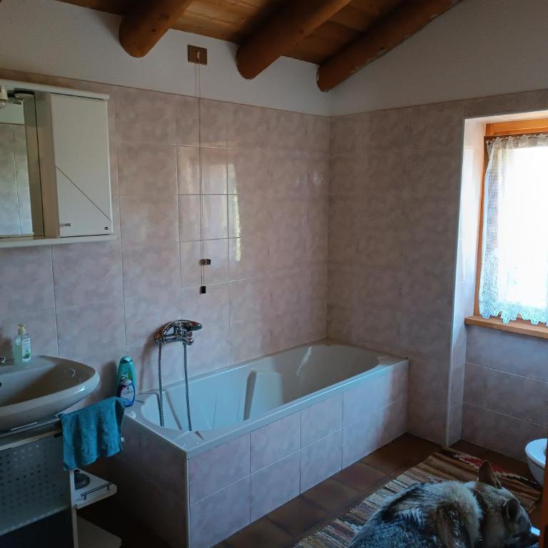 Trivignolife - Chalet in Montagna - Casa Vacanze - 15