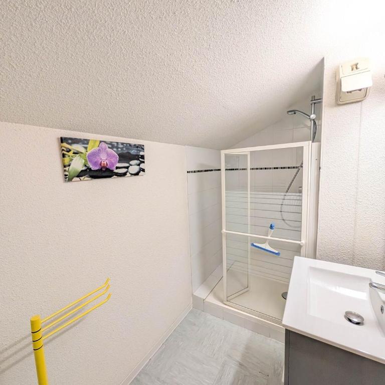 Confortable appartement 3 pièces, skis aux pieds, animaux acceptés - Appartement 2 Chambres - 15