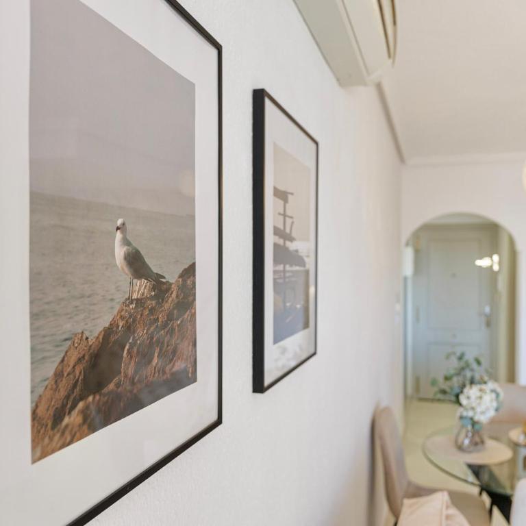 Apartamento LINDO - Apartamento de 1 dormitorio - 3