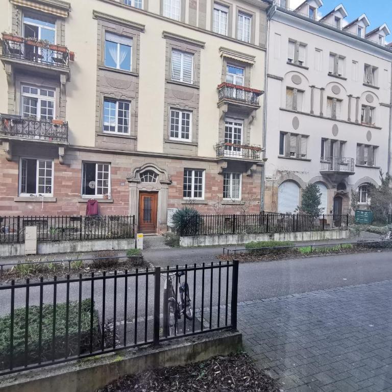 Studio calme rez-de-jardin proche tram - Appartement - 10