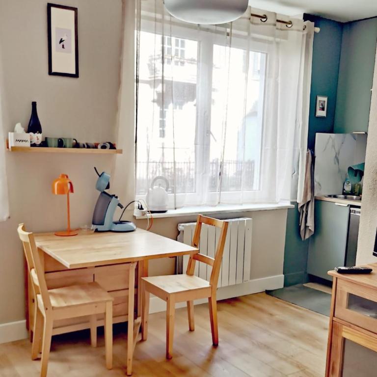 Studio calme rez-de-jardin proche tram - Appartement - 1