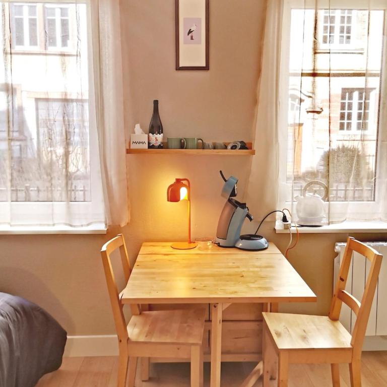 Studio calme rez-de-jardin proche tram - Appartement - 12