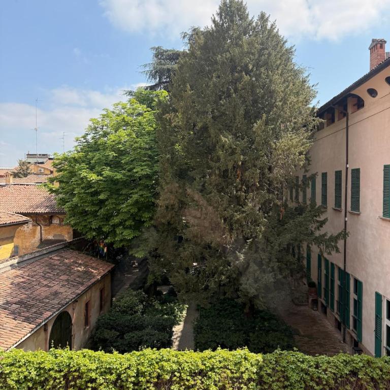 Borgo Central Apartment - Appartamento con 2 Camere da Letto - 5