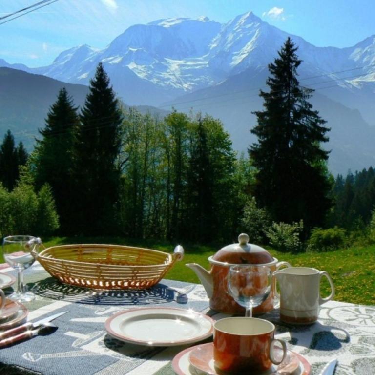 2 pièces cosy Saint Gervais près des pistes vue MontBlanc - Appartement 1 Chambre - 15