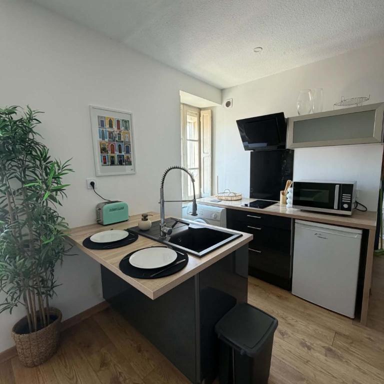 Appartement centre-ville de Narbonne - Appartement 1 Chambre - 5