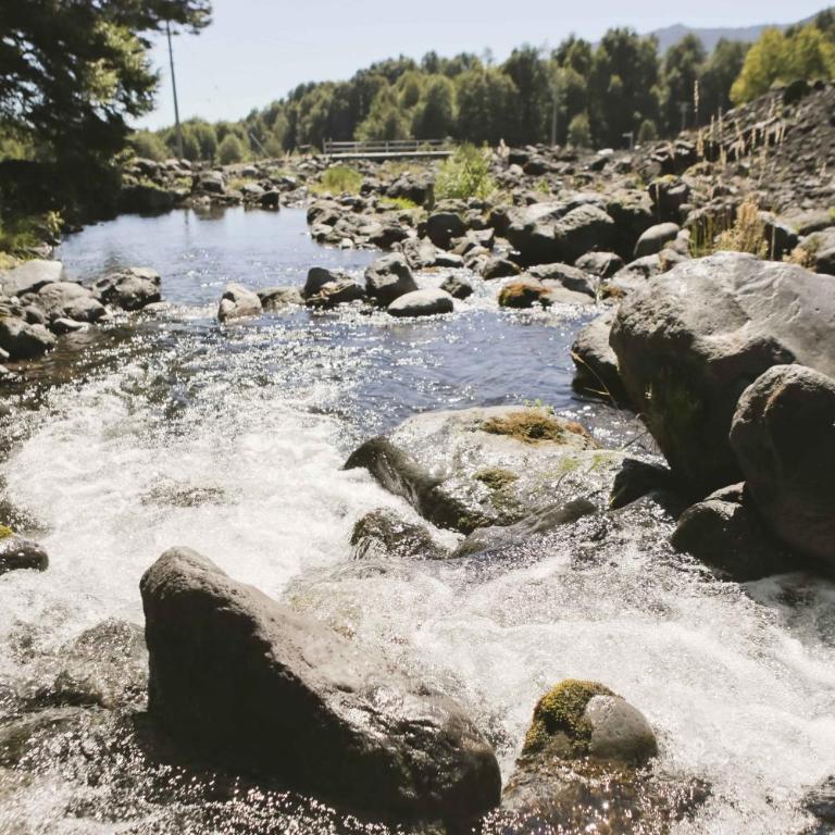 Llaima Camp - Three-Bedroom Bungalow - 35