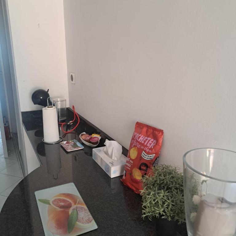 MONACO - FANTASTIC Apartment and Sea View -1 bedroom 80m2 - One-Bedroom Apartment with Terrace - 22