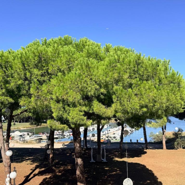 La Douceur du Ponant vue exceptionnelle et golf - Appartement 1 Chambre - 7
