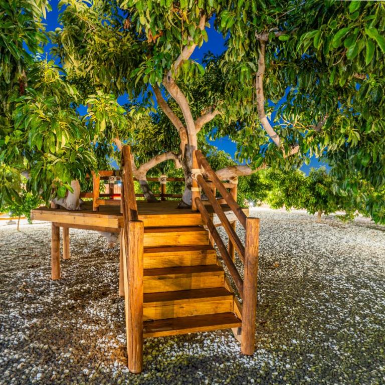 Cubo's Complejo Rural Las Perseas - Family Fun - Casa - 19