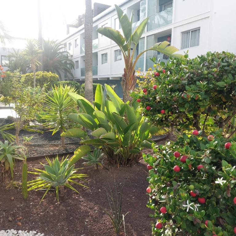 Grazioso appartamento al Bristol Sunset Vista con air conditioning - Apartamento de 1 dormitorio - 25