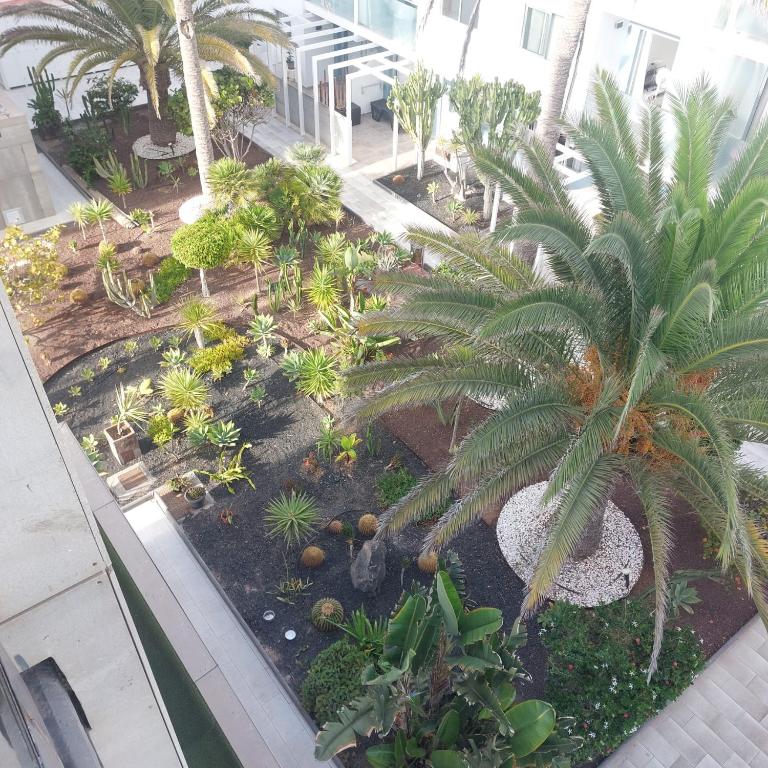 Grazioso appartamento al Bristol Sunset Vista con air conditioning - Apartamento de 1 dormitorio - 61