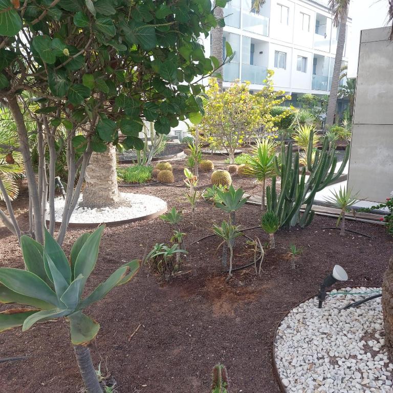 Grazioso appartamento al Bristol Sunset Vista con air conditioning - Apartamento de 1 dormitorio - 63