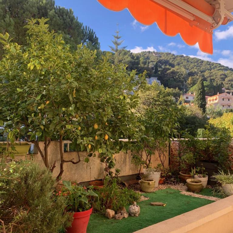 Cosy 2 pièces proche mer et monaco - Appartamento con Terrazza - 10