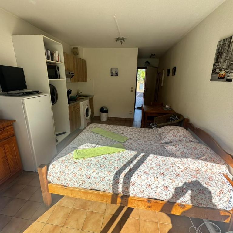 Studio A Balaruc les bains - Appartement 1 Chambre - 3