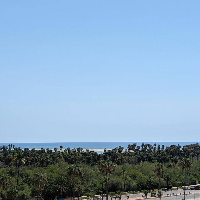 Ocean and Golf Views - Walk to Beach & Downtown - Apartamento - 16