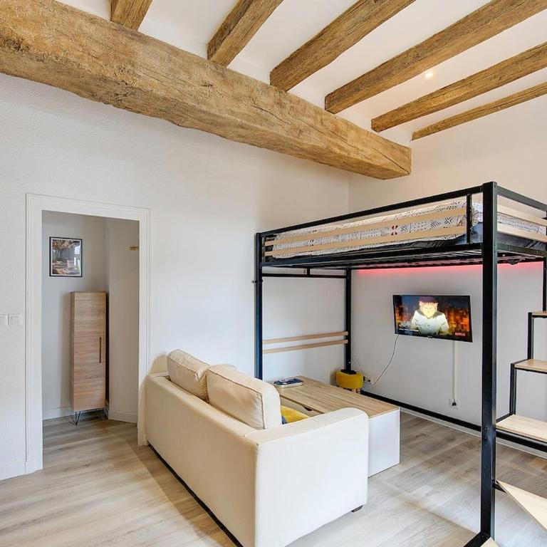 Appartement au coeur de Tours - Appartement 1 Chambre - 4