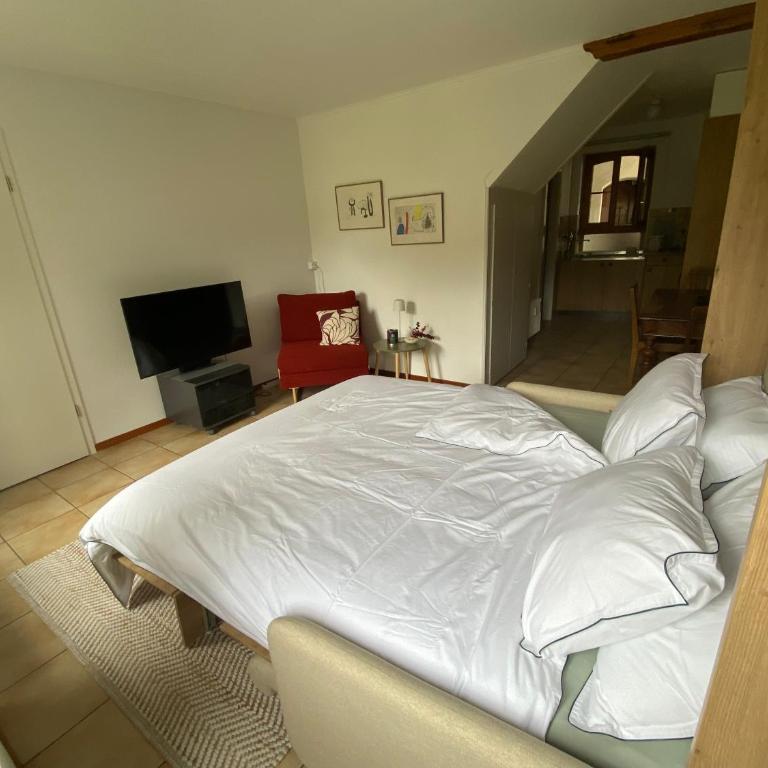 Studio avec vue sur le Château d'Aigle - Apartment mit 1 Schlafzimmer - 13