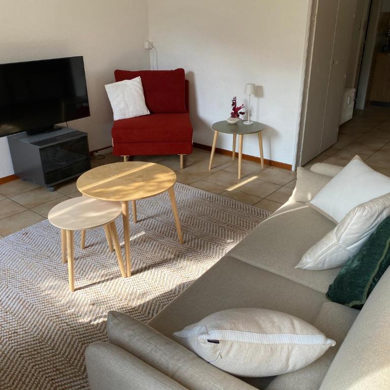 Studio avec vue sur le Château d'Aigle - Apartment mit 1 Schlafzimmer - 16