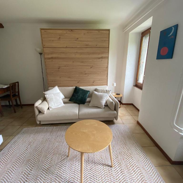 Studio avec vue sur le Château d'Aigle - Apartment mit 1 Schlafzimmer - 20