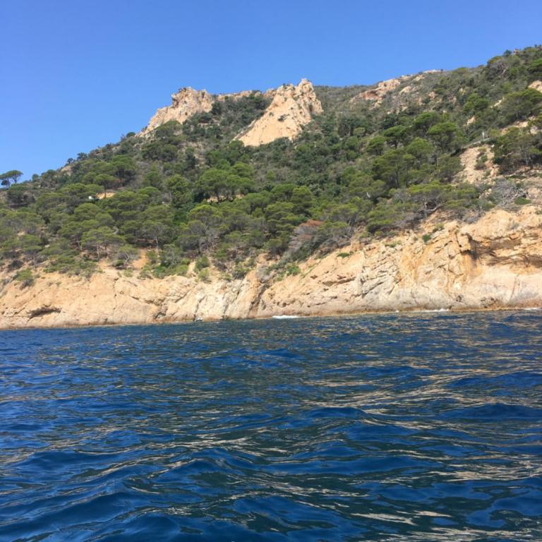 apartamento cala llobeta - Two-Bedroom Apartment - 5
